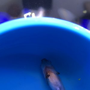 IMG_5499.JPG