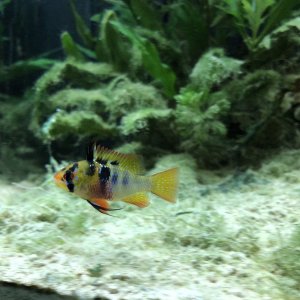 IMG_4595.JPG