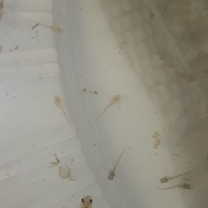 20180830_104926.jpg