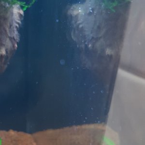 20181011_155648.jpg