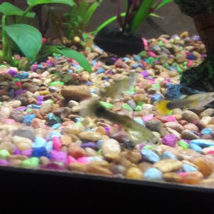 20181015_211405.jpg