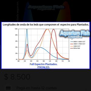 808C3CAA-1A48-4438-A514-D0F25D46A402.png