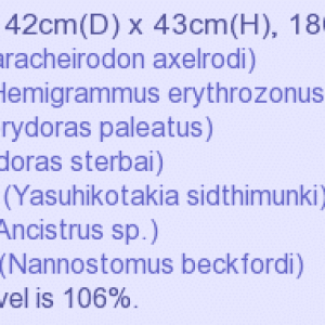 AquStockImage.png