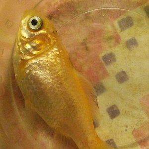 20181104_213027.jpg