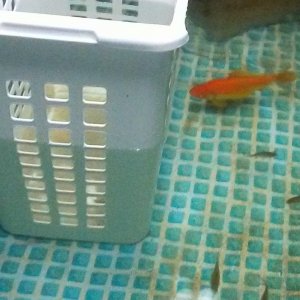 20181112_021623-1.jpg