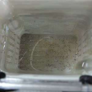 DSCF1856-min.JPG