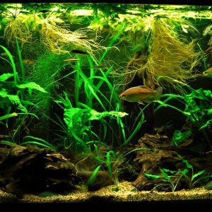 33g Nov 15-2018.JPG