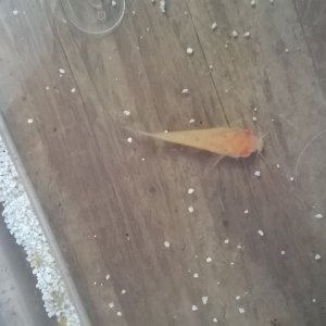 WP_20181222_008.jpg