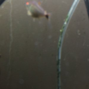IMG_20181228_155223750.jpg