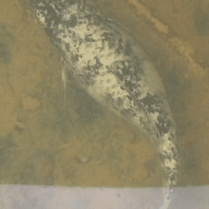 Screenshot_20190118-100145.png