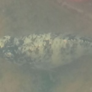 20190118_093706.jpg