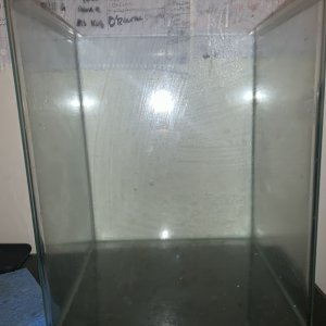 IMG_2321.jpeg