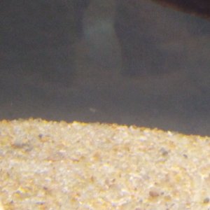 IMG_20190325_101819899.jpg
