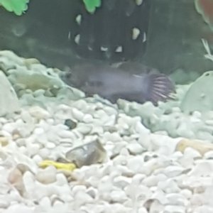 20190414_134415.jpg
