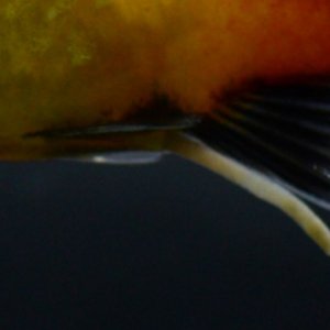 20190414_134555.jpg