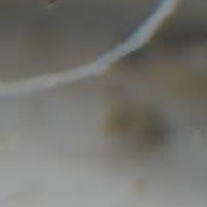 20190414_134608.jpg
