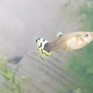 20190503_125425.jpg