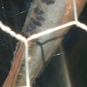 20190512_195356.jpg