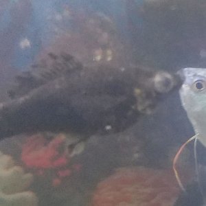 20190514_170635.jpg