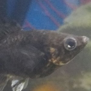 20190516_203839.jpg