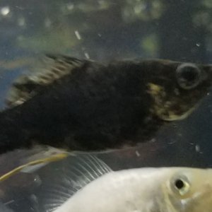 20190516_203252.jpg