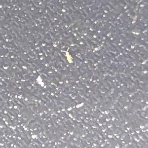 20190530_230213.jpg
