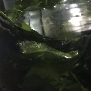 229F4547-A725-4970-9921-D3E558793858.jpeg