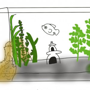 upload_2019-6-20_23-45-22.jpeg