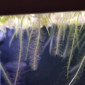 20190707_232453.jpg