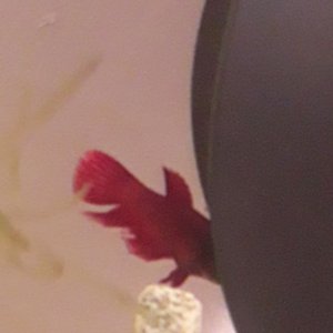 20190810_192944.jpg