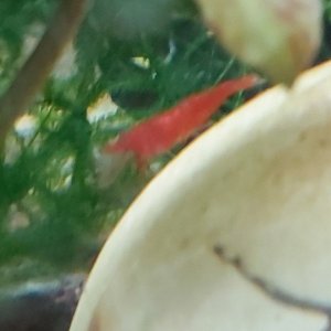 20190913_211005.jpg
