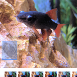 Screenshot_20190921-105534.png