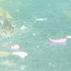 20190926_181657.jpg
