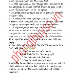 Tuổi Tân Mùi-2.jpg