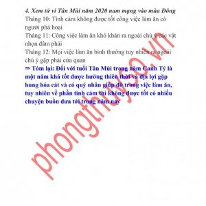 Tuổi Tân Mùi-6.jpg