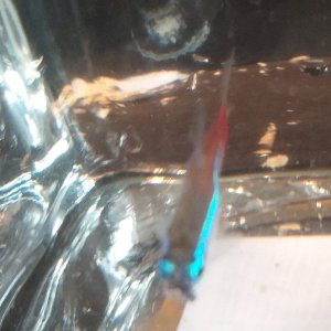 20191014_181416.jpg