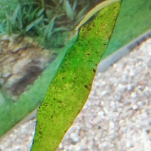 IMG_20191020_144447.jpg
