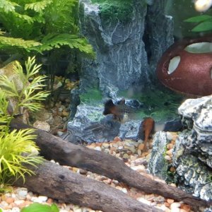 20191029_180850-min.jpg