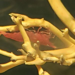 20191031_020248.jpg