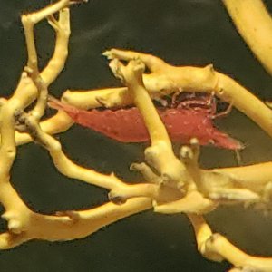 20191031_020232.jpg