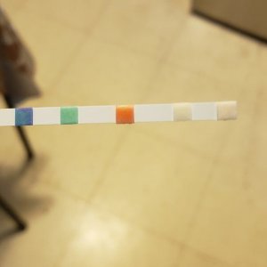 20191102_111735.jpg