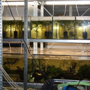 Open dagen Ed's Fishbook June 28th 2019 053.jpg