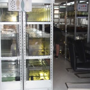 Open dagen Ed's Fishbook June 28th 2019 051.jpg