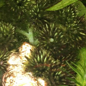 72906AE9-B0C4-49CA-9BCD-397F59218AB1.jpeg
