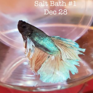 Salt Bath.jpg