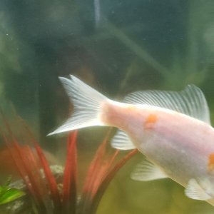 20191230_110455.jpg