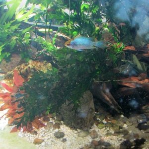 IMG_1693.JPG