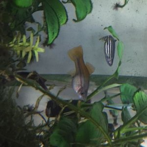 IMG_E0340.JPG