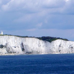 WhiteCliffs.jpg