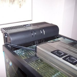 100_9976.JPG
